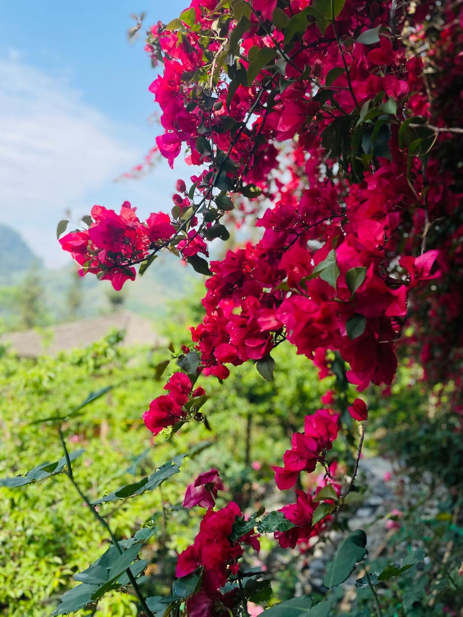 So H'Mong Homestay Bac Ha  Exterior photo